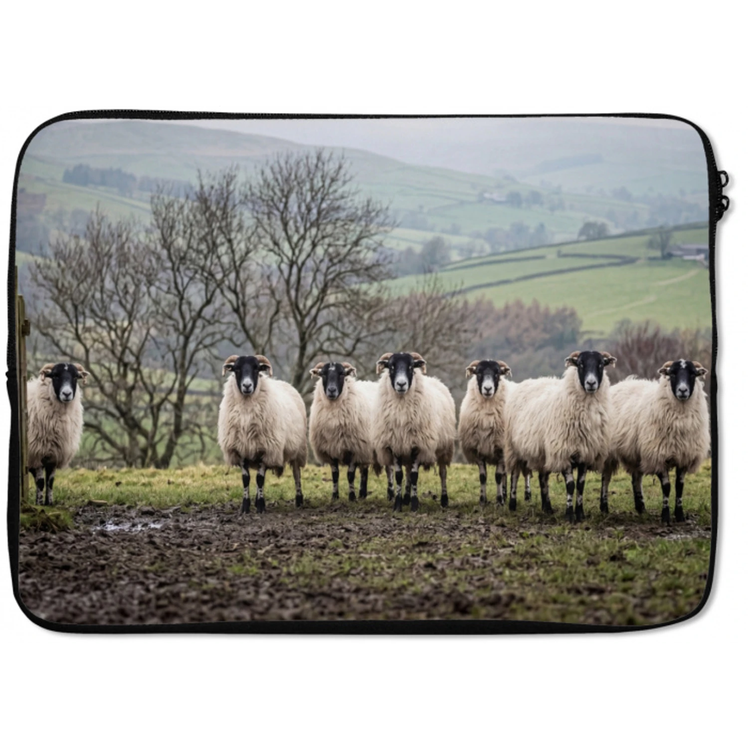 Schapen - Rij - Weide - Dieren - Platteland laptophoes neopreen klein -zkaufland3dotto