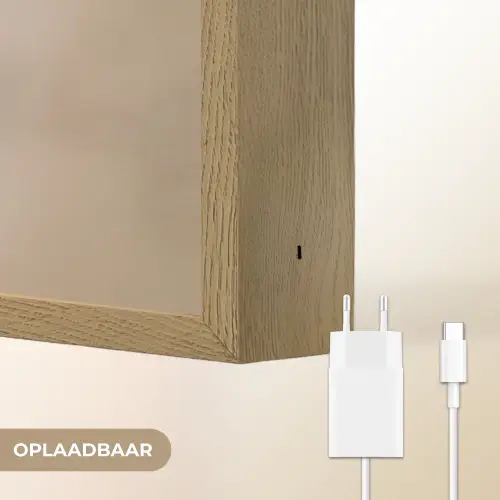 Vogel - Beige - Japandi Light Box met batterij (Wandlamp) middel -USP_websiteoplaadbaarNL