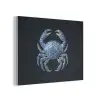 Krab - Delfts blauw - Dieren PET vilt klein -3d