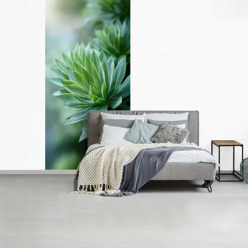 Blad - Plant - Groen - Textuur fotobehang vinyl groot -slaapkamer