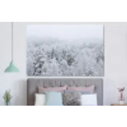 Bos - Sneeuw - Winter - Natuur - Wit forex 5mm xxl -slaapkamer