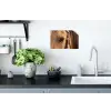 Paard - Oog - Bruin Muursticker klein -keuken