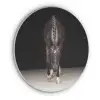 Paard - Modern - Portret Akoestische PET Vilt - Rond klein -3d
