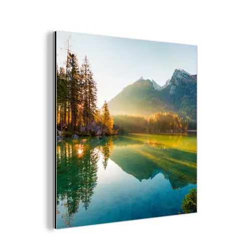 Meer - Bos - Bergen - Natuur aluminium wit klein -3d