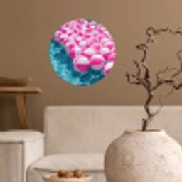 Strandballen - Roze - Water Wandcirkel behangsticker klein -sfeer1