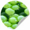 Druiven - Groen - Druppels Wandcirkel behangsticker klein 186 -3d