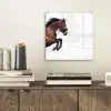 Paard - Springen - Modern plexiglas 5mm klein -sfeer1