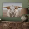 Longhorn - Grasveld - Dier PET vilt klein -sfeer2