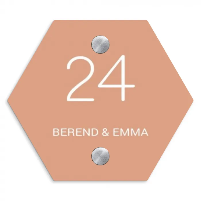 Zalmroze - Klassiek Naambord Hexagon klein -3d