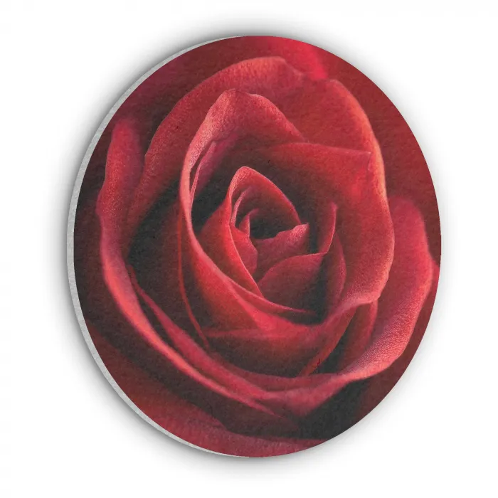 Rood - Roos - Romantisch Akoestische PET Vilt - Rond klein -3d
