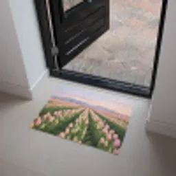 Tulpen - Landschap - Roze Deurmat klein -sfeer5