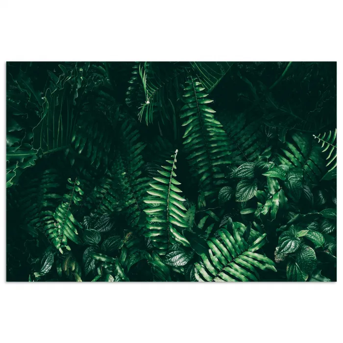 Bladeren - Jungle - Natuur - Tropisch - Planten poster papier klein -3d