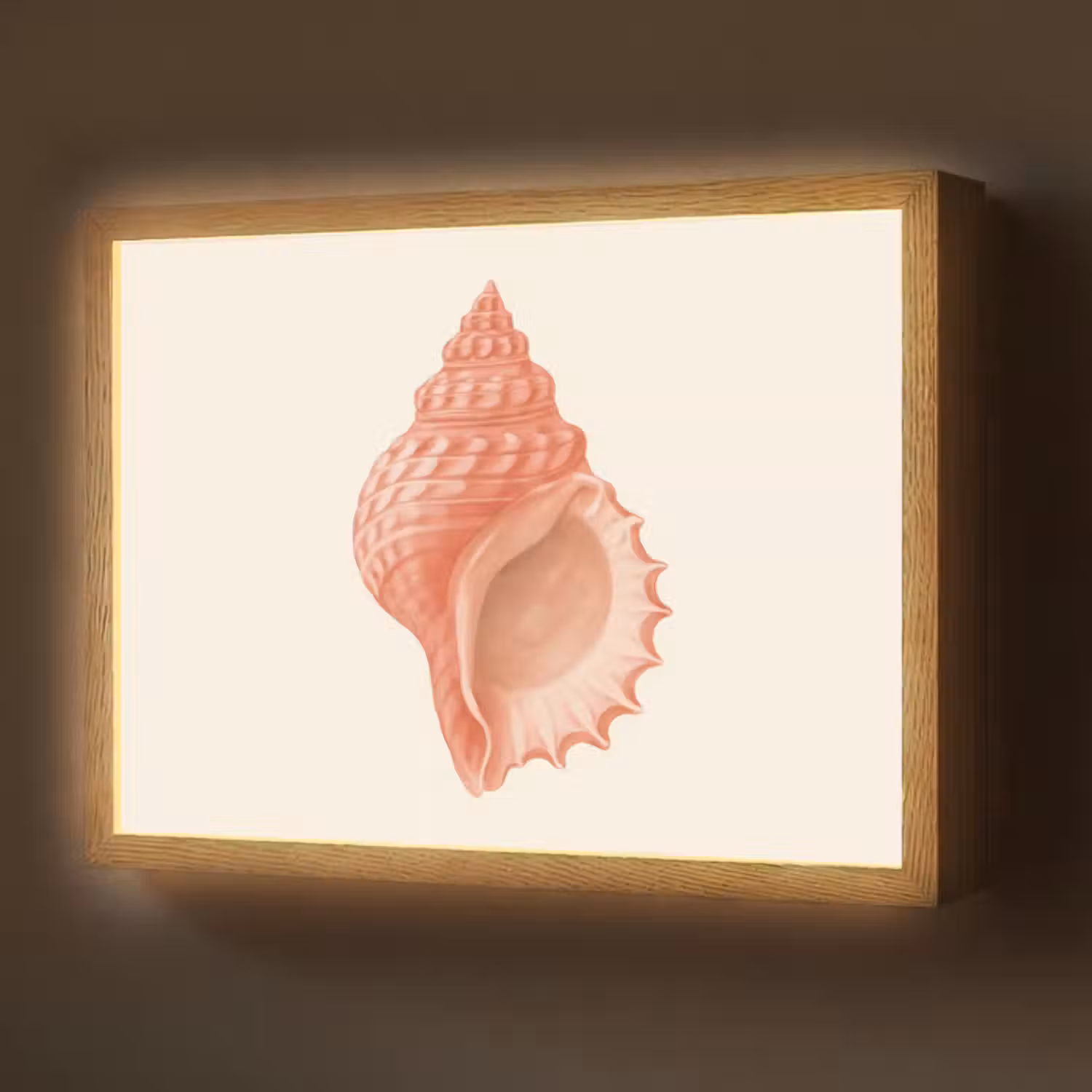 Lightbox - Wandlamp - Schelp - Roze - Structuur