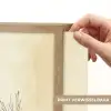 Planten - Abstract - Vormen Light Box met batterij (Wandlamp) middel -USP_websiteprintNL
