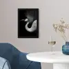 Kraanvogel - Zwart - Wit - Vogel - Dieren fotolijst zwart zonder passe partout klein -sfeer4