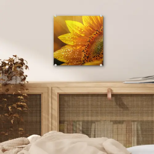 Zonnebloem - Dauwdruppels - Geel - Zonlicht plexiglas 5mm klein -sfeer4