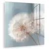 Paardenbloemen - Pluisjes - Wit plexiglas 5mm klein -zzzproduct_nieuw