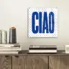 Ciao - Stippen - Roze - Wit plexiglas 5mm klein -sfeer1