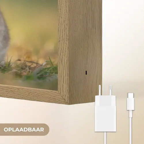 Konijntje - Bruin - Gras Light Box met batterij (Wandlamp) middel -USP_websiteoplaadbaarNL