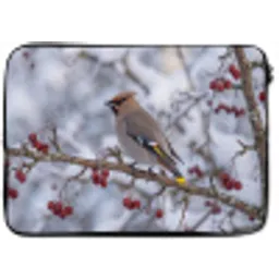Pestvogel - Bessen - Winter - Natuur laptophoes neopreen klein -zkaufland3dotto