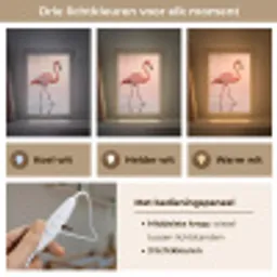 Flamingo - Water - Roze Light Box met kabel (Kinderlampje) klein -USP_lichtkleurNL