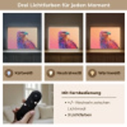 Arend - Vogel - Kleurrijk - Dier Light Box met batterij (Wandlamp) middel -USP_lichtkleurDE
