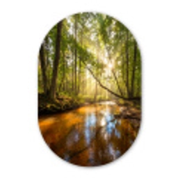 Bos - Beek - Zonlicht - Natuur - Groen Wandcirkel Ovaal Forex klein -3d