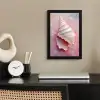 Schelp - Pastel - Pink fotolijst zwart zonder passe partout klein -sfeer1