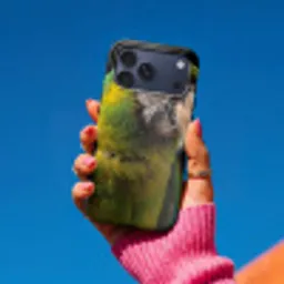 Ara - Portret - Groen Toughcase MagSafe Apple iPhone 17 Pro Max klein -Sfeer1V