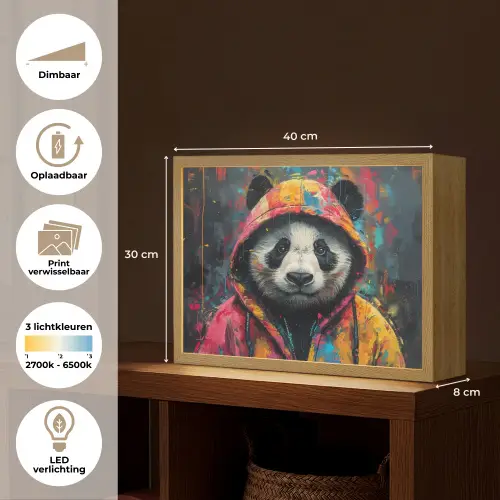 Graffiti - Panda - Jas - Kleurrijk - Street art Light Box met batterij (Wandlamp) middel -USP_websiteoverzichtNL