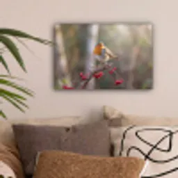 Roodborst - Tak - Bessen - Natuur canvas 2cm klein -sfeer1