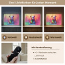 Panda - Dieren - Kleurrijk - Neon Light Box met batterij (Wandlamp kind) middel -USP_lichtkleurDE
