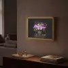 Neon - Vaas - Bloemen Light Box met batterij (Wandlamp) middel -sfeer1