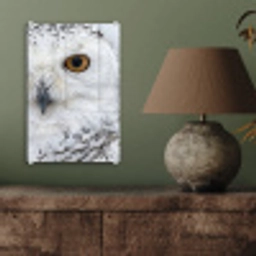 Sneeuwuil - Oog - Wildlife - Wit plexiglas 5mm klein -sfeer3