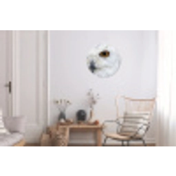 Sneeuwuil - Oog - Wildlife - Wit Wandcirkel aluminium klein -woonkamer