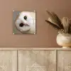 Uil - Bruin - Wit plexiglas 5mm klein -sfeer5