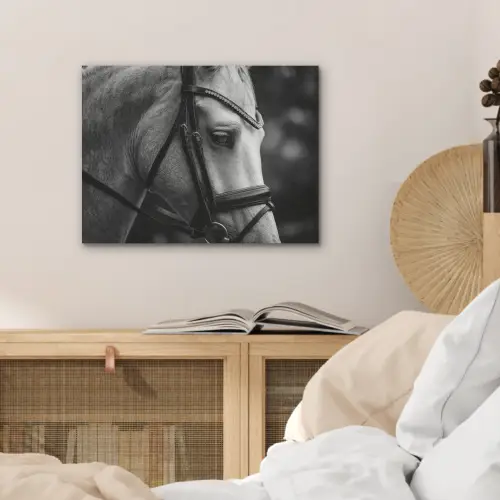 Paard - Schimmel - Portret PET vilt klein -sfeer3
