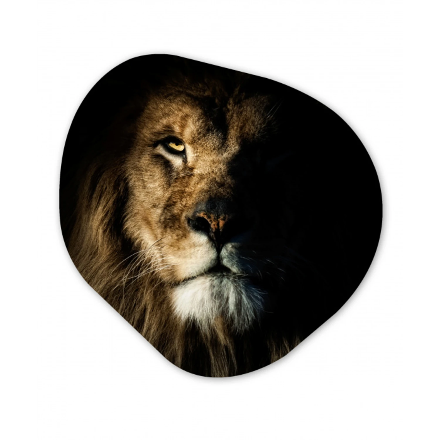 Leeuw - Licht - Portret Wandcirkel Organisch Forex 3mm klein -3d
