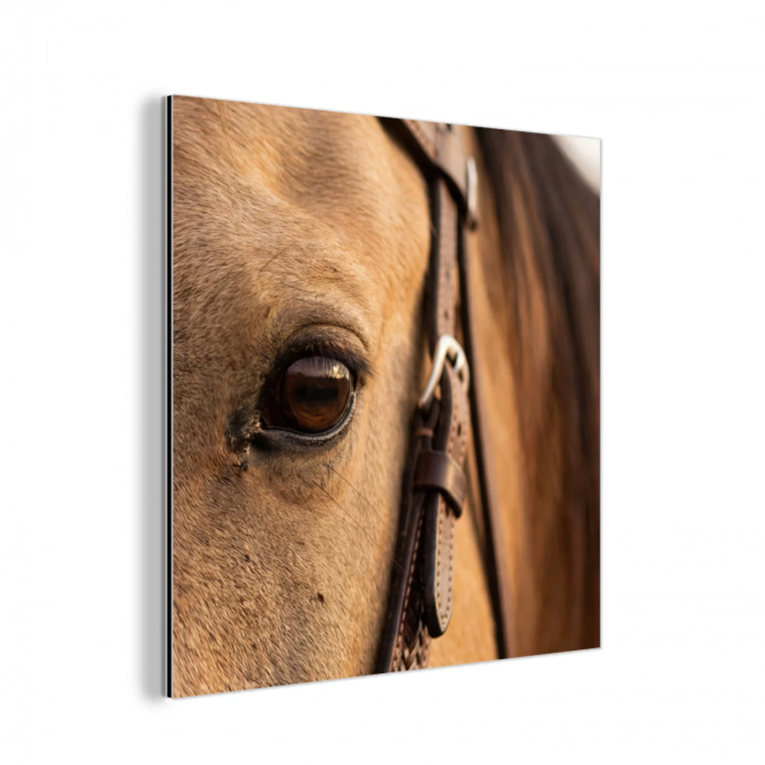 Paard - Oog - Bruin aluminium wit klein -3d