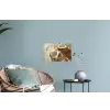 Kokosnoot - Water - Beige - Spetters Muursticker klein -plant