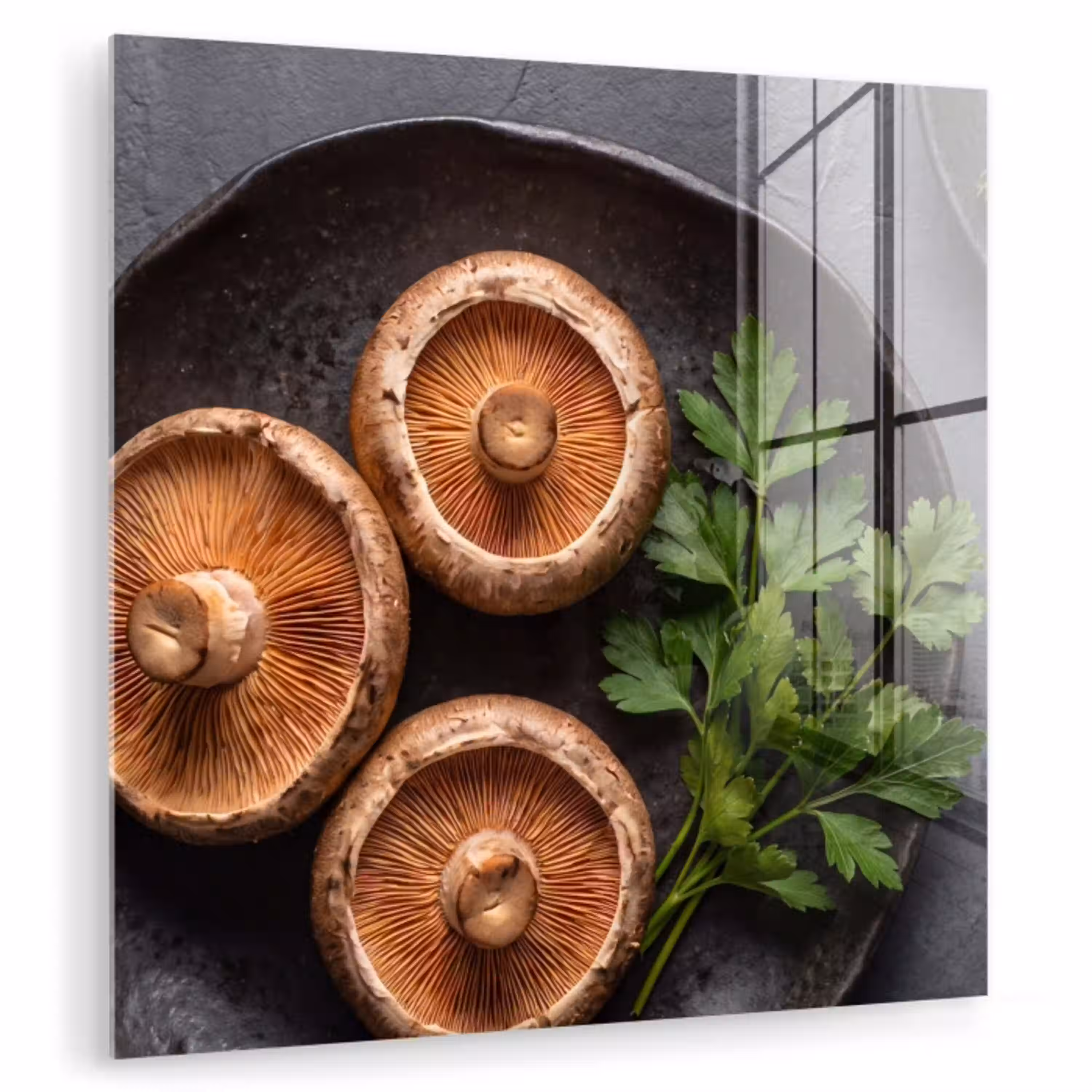 Paddestoelen - Kruiden - Eten plexiglas 5mm klein -zzzproduct_nieuw
