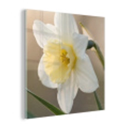 Narcis - Bloem - Minimalistisch plexiglas 5mm klein -z3d