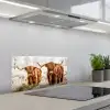 Vorstelijk Duo keuken achterwand spatscherm klein -3d_schuin