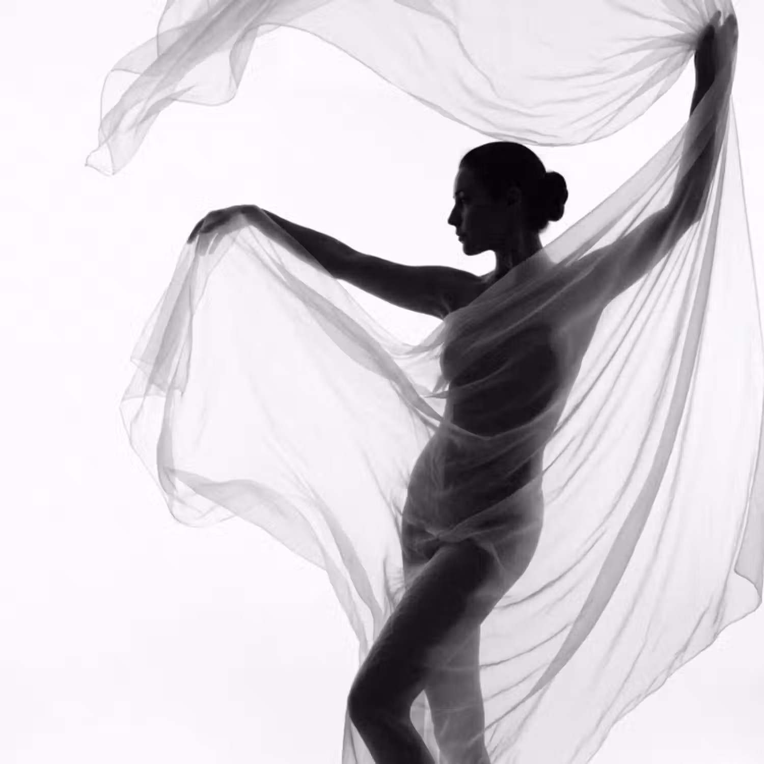 Tapete - Silhouette - Schleier - Formen - Schwarz - Weiß - Sinnlich