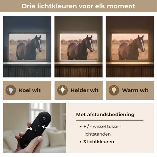 Paard - Zonsondergang - Bruin Light Box met batterij (Wandlamp) middel -USP_lichtkleurNL