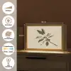 Tak - Groene Bladeren - Vruchten Light Box met kabel (Tafellamp) klein -USP_websiteoverzichtNL