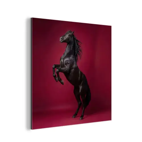 Hengst - Steigert - Rood aluminium wit klein -3d