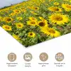 Zonnebloemen - Bloemen - Wolken - Natuur - Geel - Landschap poster papier klein -closeup_NL