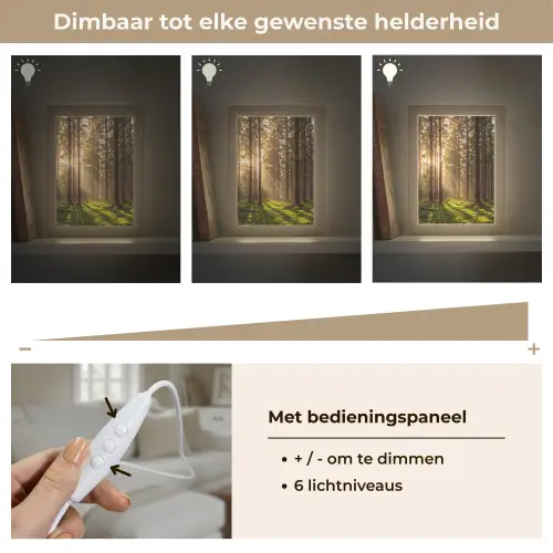 Bos - Gras - Zonlicht Light Box met kabel (Tafellamp) klein -USP_dimbaarNL