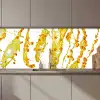 Oranje - Geel - Splash - Fruit keuken achterwand 2 middel zz_3dshopping